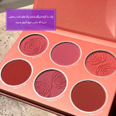 عکس 2: پالت رژگونه 6رنگ شیگلم