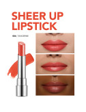 عکس 16: رژ لب جامد شیر آپ SHEER UP فلورمار